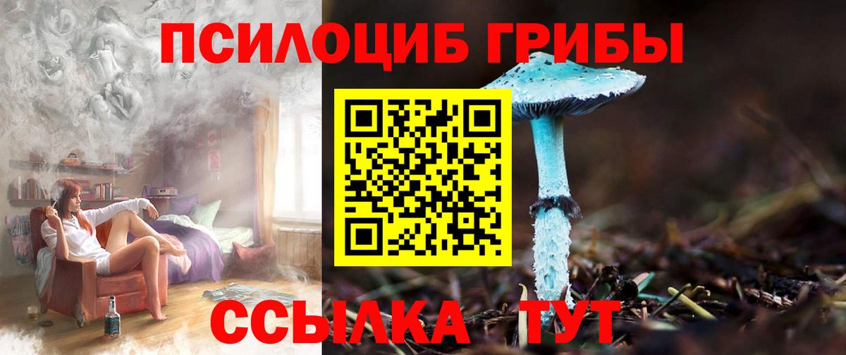 Псилоцибиновые грибы Psilocybe Богородск